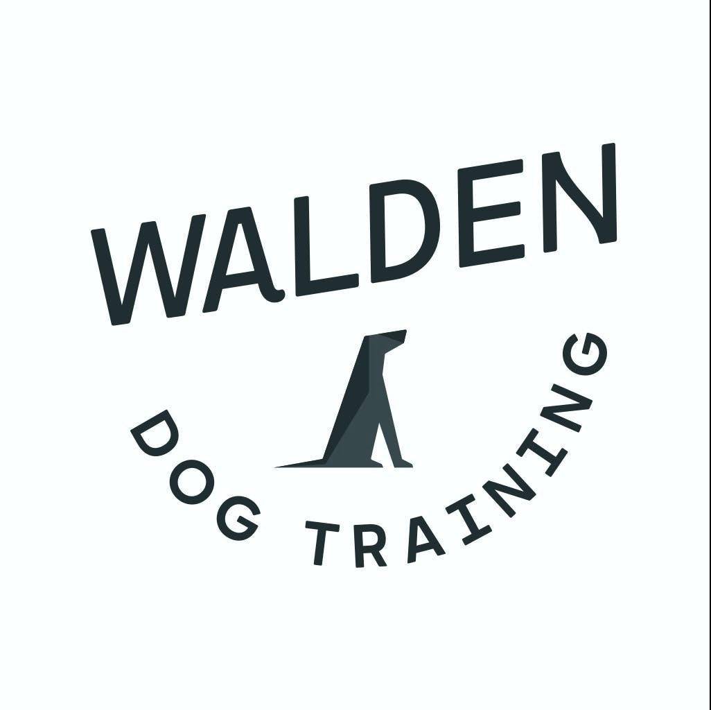 the-abc-s-of-dog-training