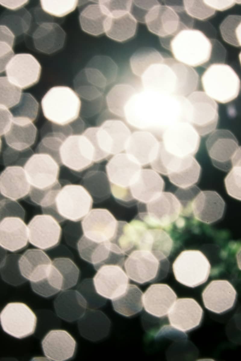 Soft bokeh lights on a dark background
