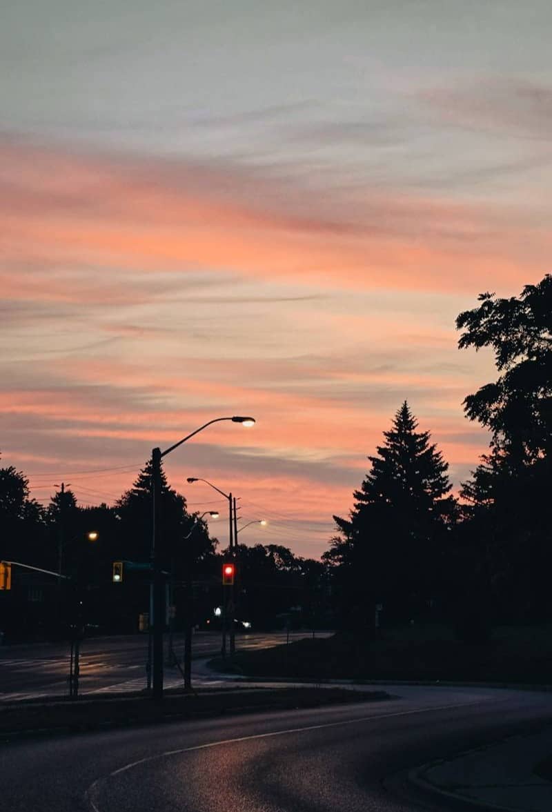 Road curves through trees at sunset with colorful sky
