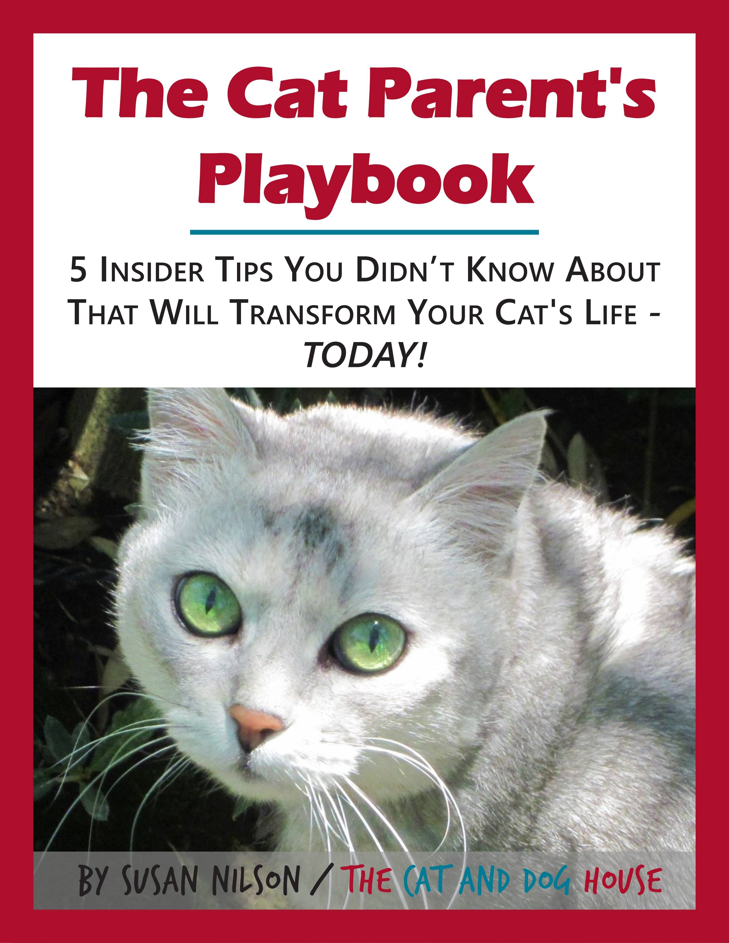 the-cat-parent-s-playbook