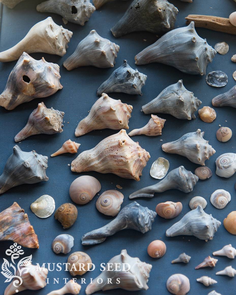 Miss Mustard Seed's Weekly Round Up