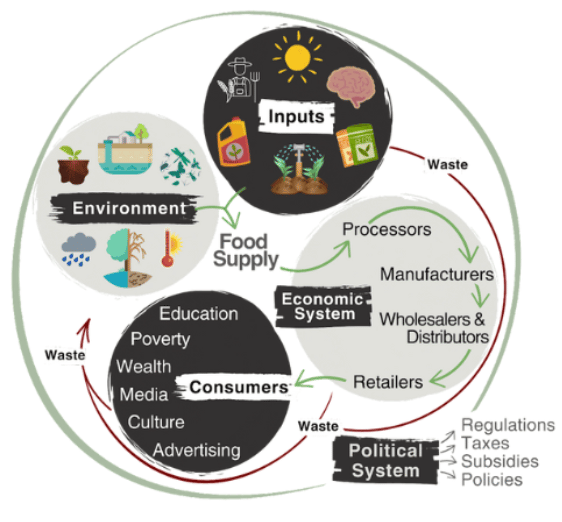 Food System by Carbon Literacy Project