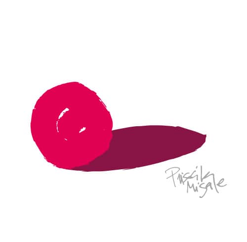 priscilamigale.com