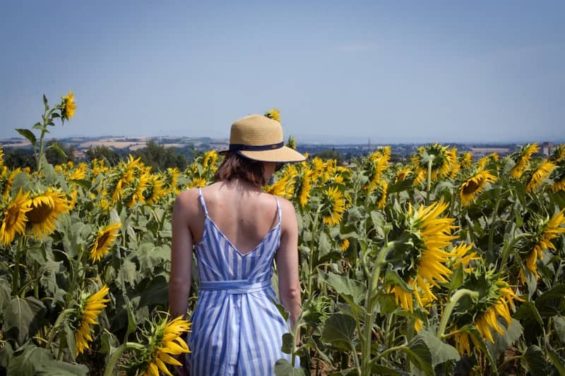 lady standing in sunflower field