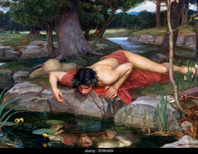 Narcissus looking at his reflection in a pool