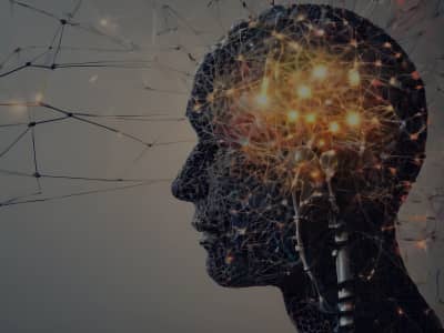 Brain power