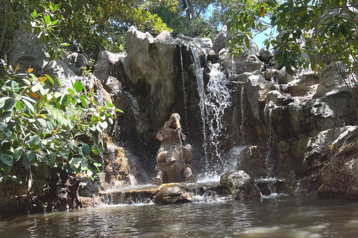 jungle cruise