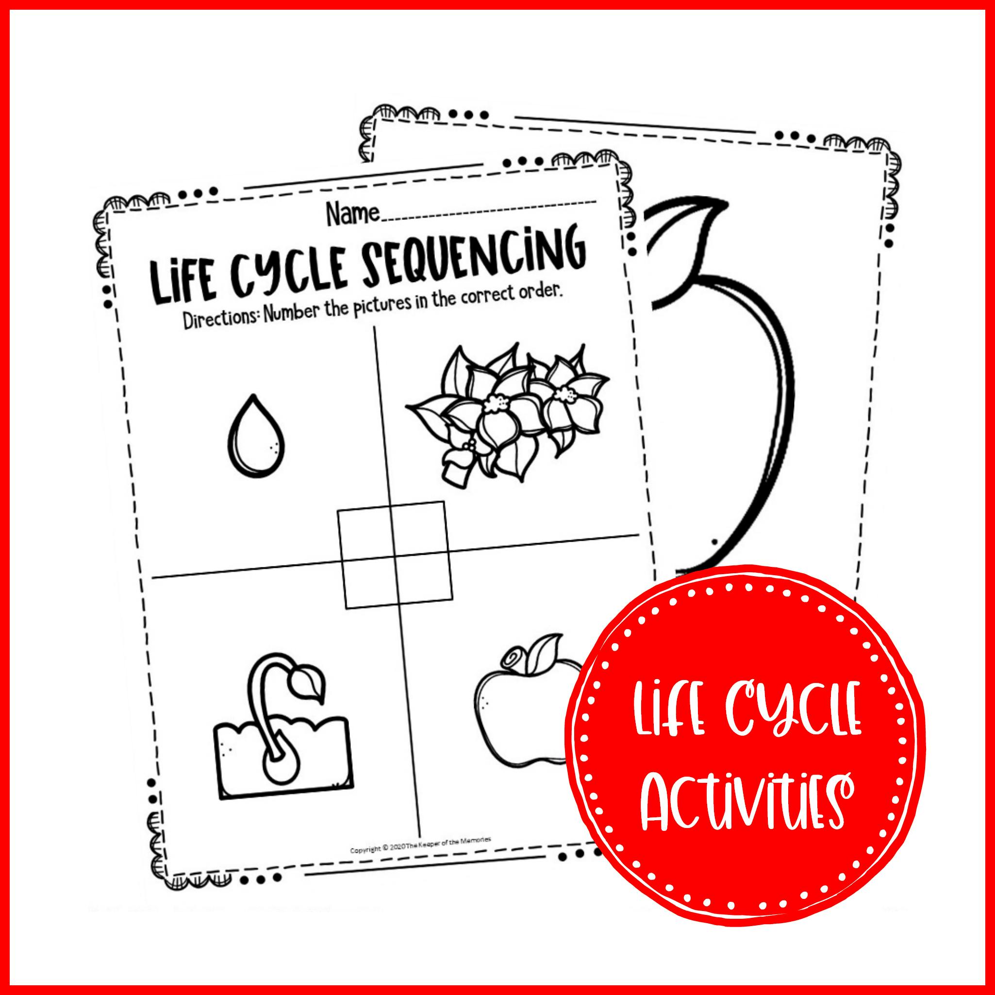 Free Printable Apple Life Cycle Worksheets The Keeper Of The Memories
