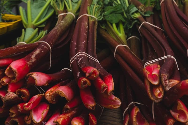 Fresh rhubarb bundles ready for sale.