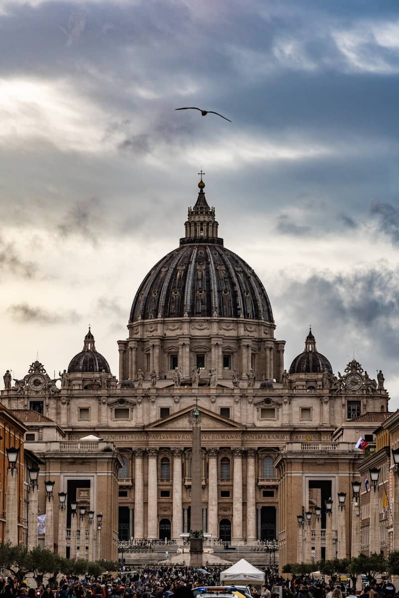 St. peter's basilica with a bird flying overhead