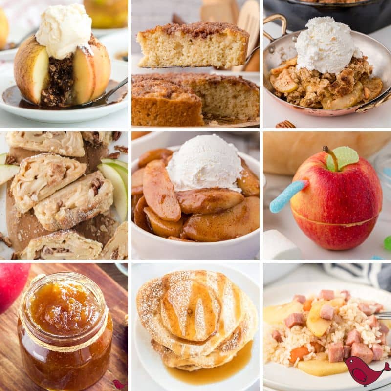 A collage of brightly colored apple recipes