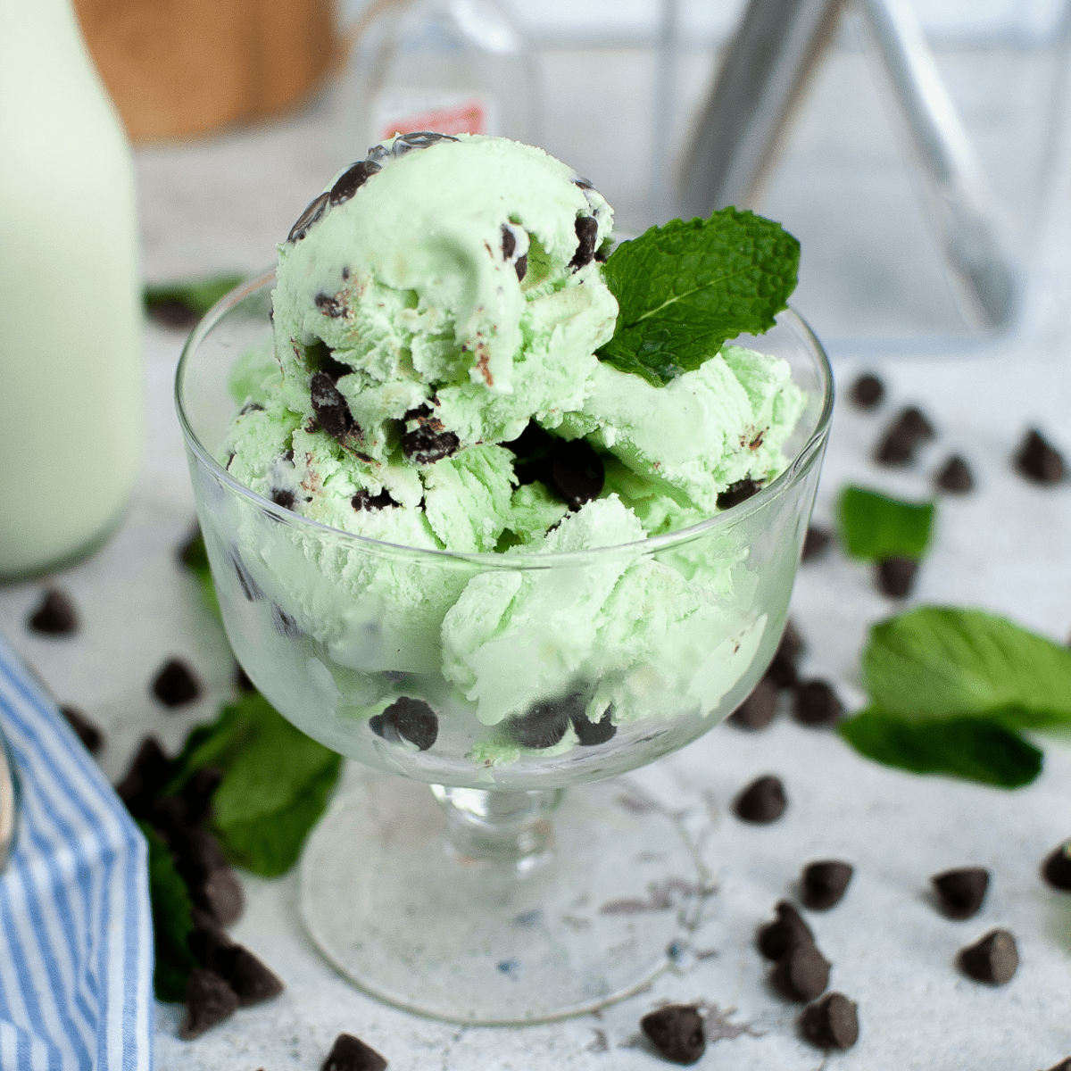 mint chocolate chip ice cream