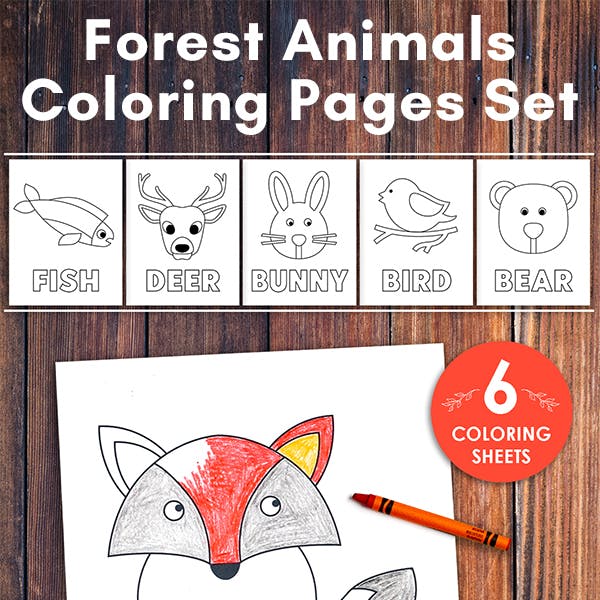 Simple and Linear Forest Animals Coloring Pages Set (6 pages)