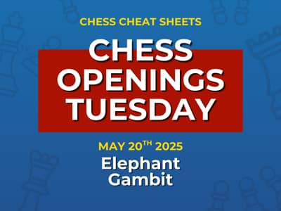 Chess Openings Tuesday - The Elephant Gambit