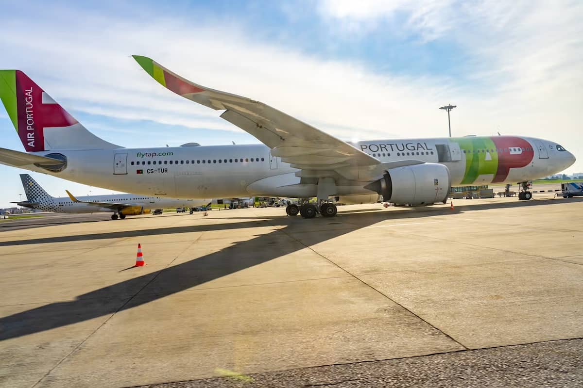 TAP Portugal wide-body jet parked on a sunny tarmac with another aircraft and an orange traffic cone in the foreground.