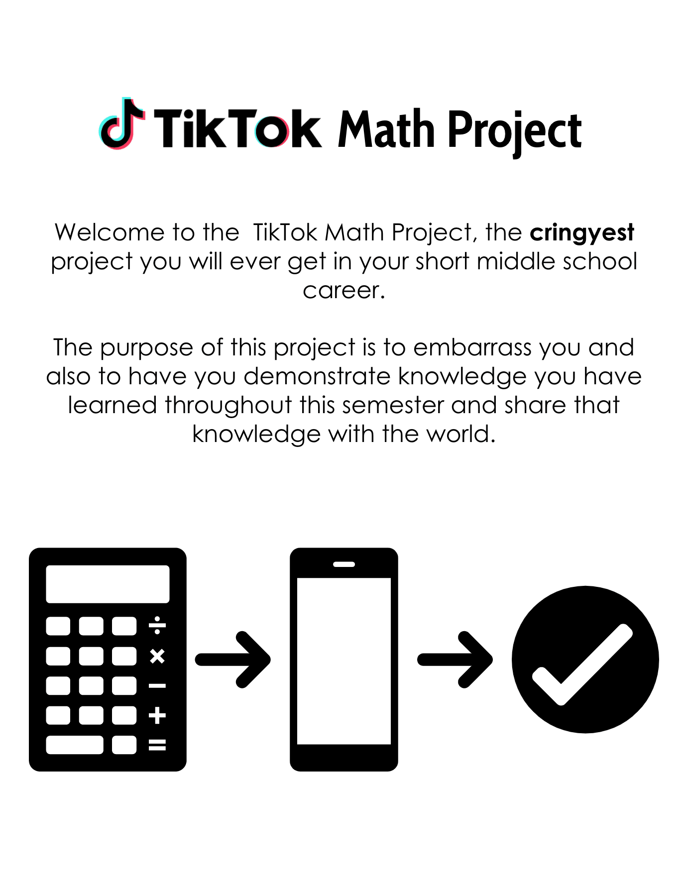 TikTok Math Project