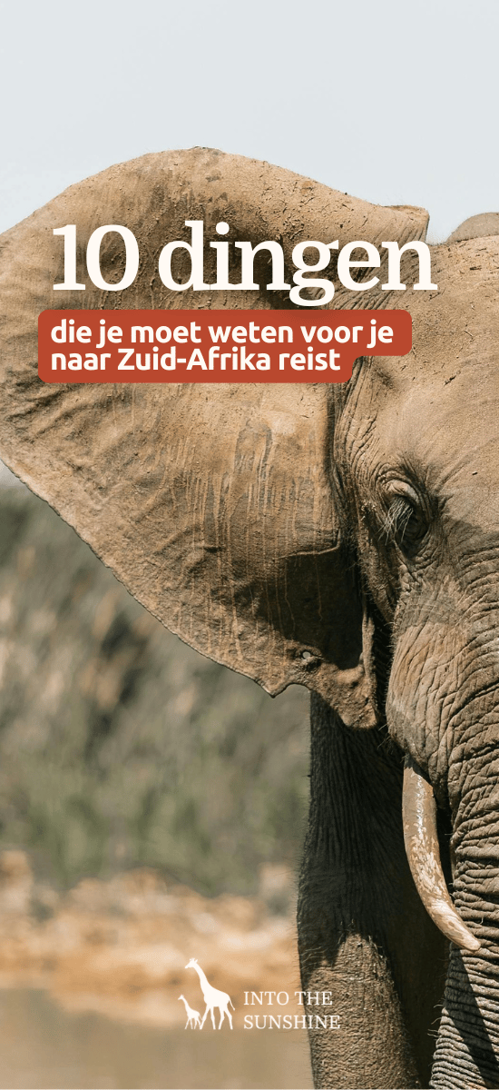 selective focus photography of elephant