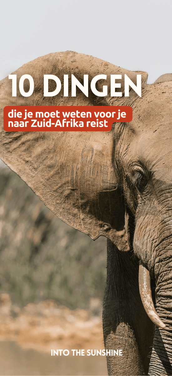 selective focus photography of elephant