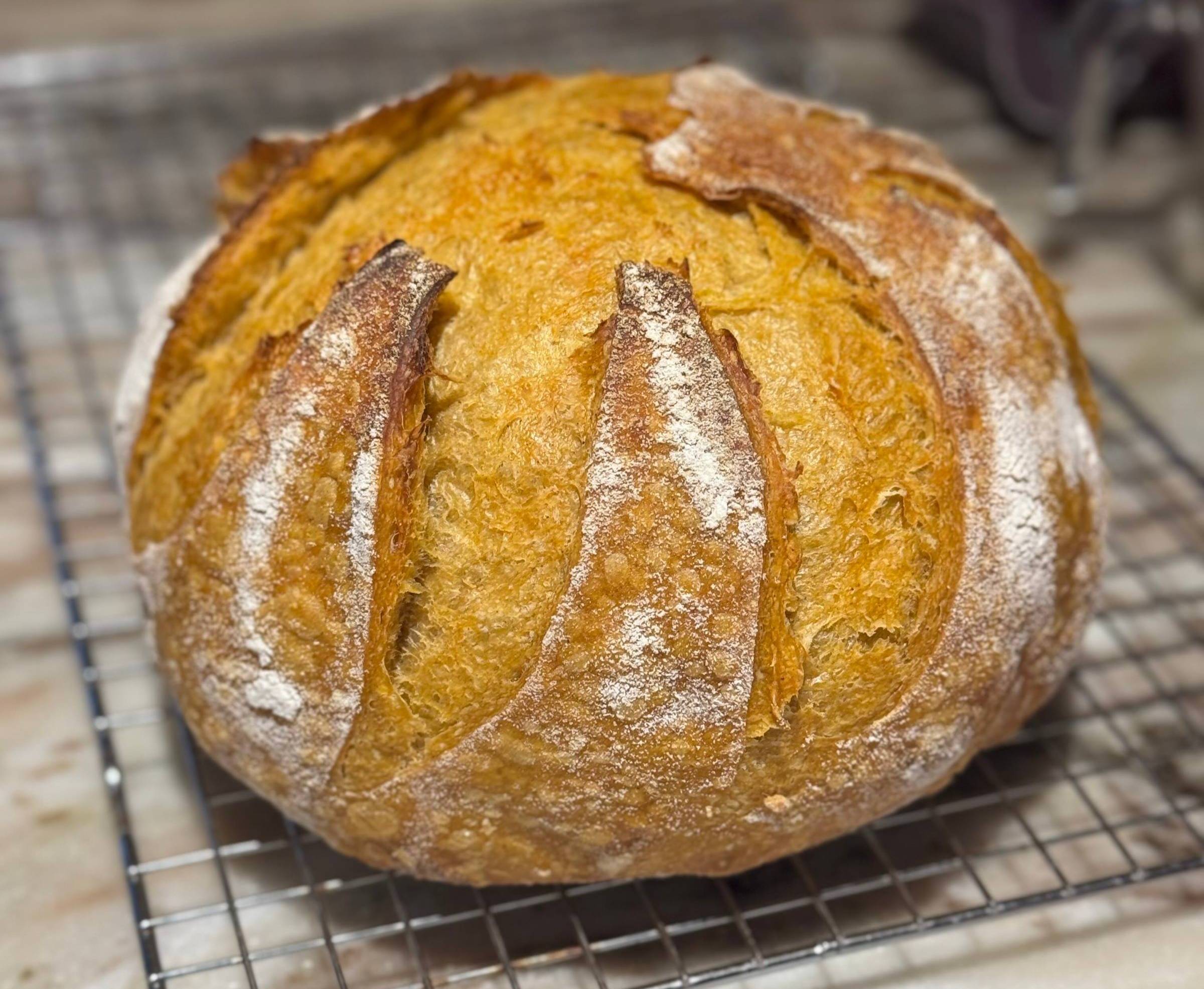 A pumpkin sourdough boule cooling on a rack