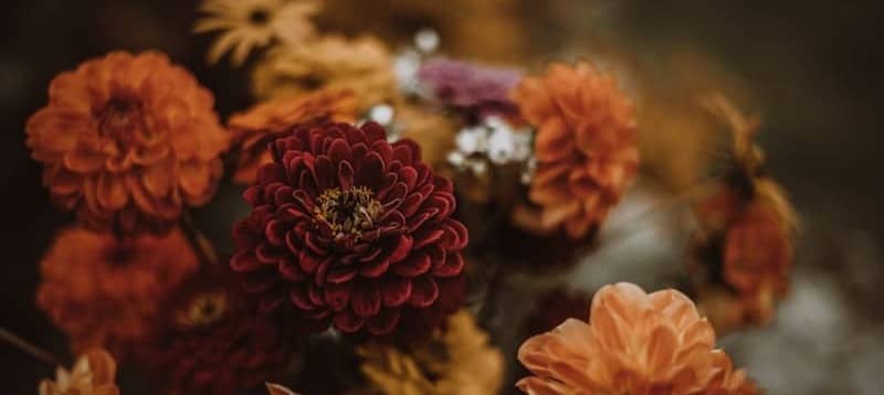 Close-up of a bouquet of vibrant orange and red flowers.