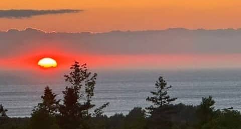 sunset over coastline and trees
