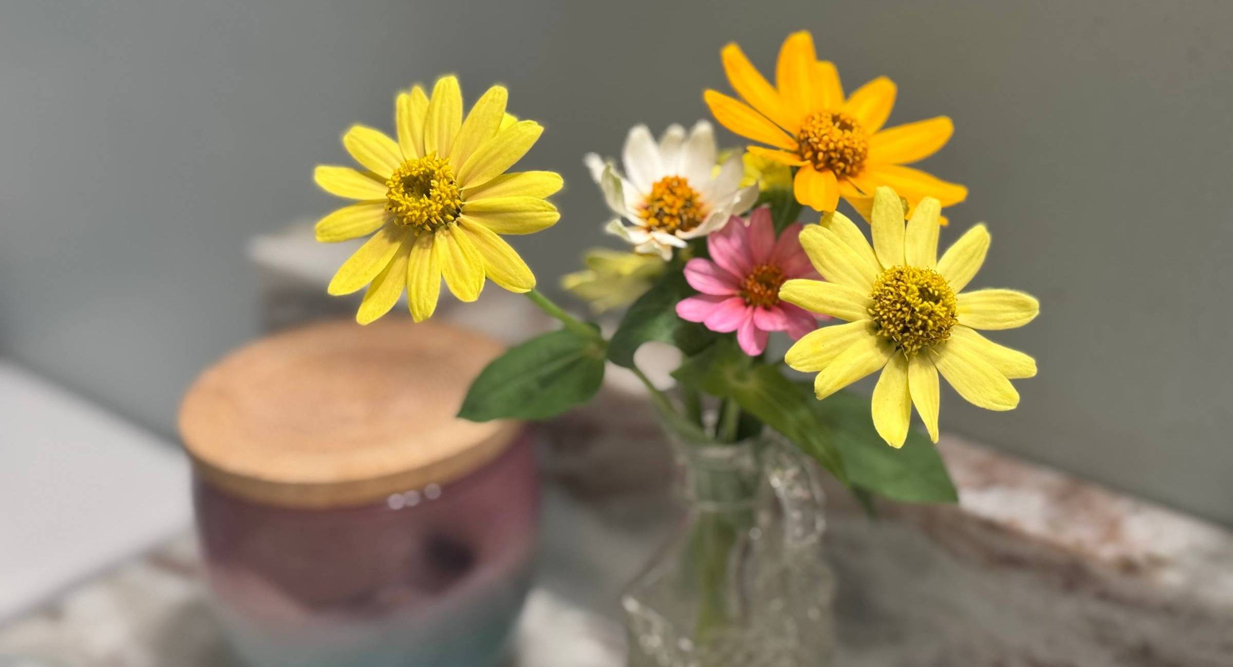 vase of zinnias, yellow, pink and white