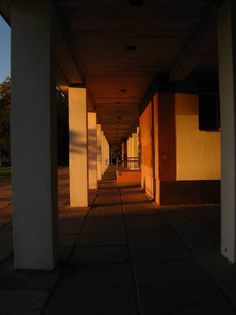 Columns casting long shadows at sunset