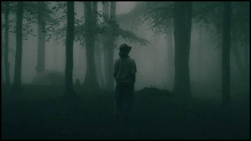 A person stands alone in a dark, foggy forest