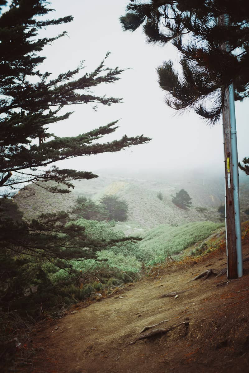 A utility pole beside a dirt path overlooking a misty green hillside