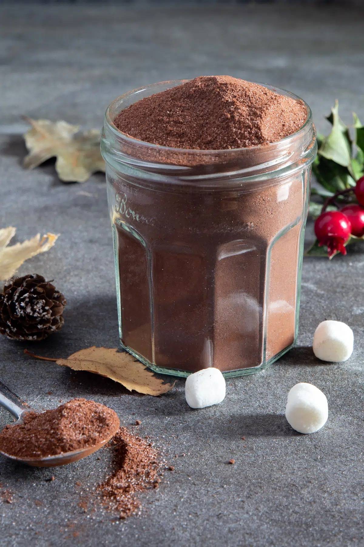 Hot Chocolate Mix