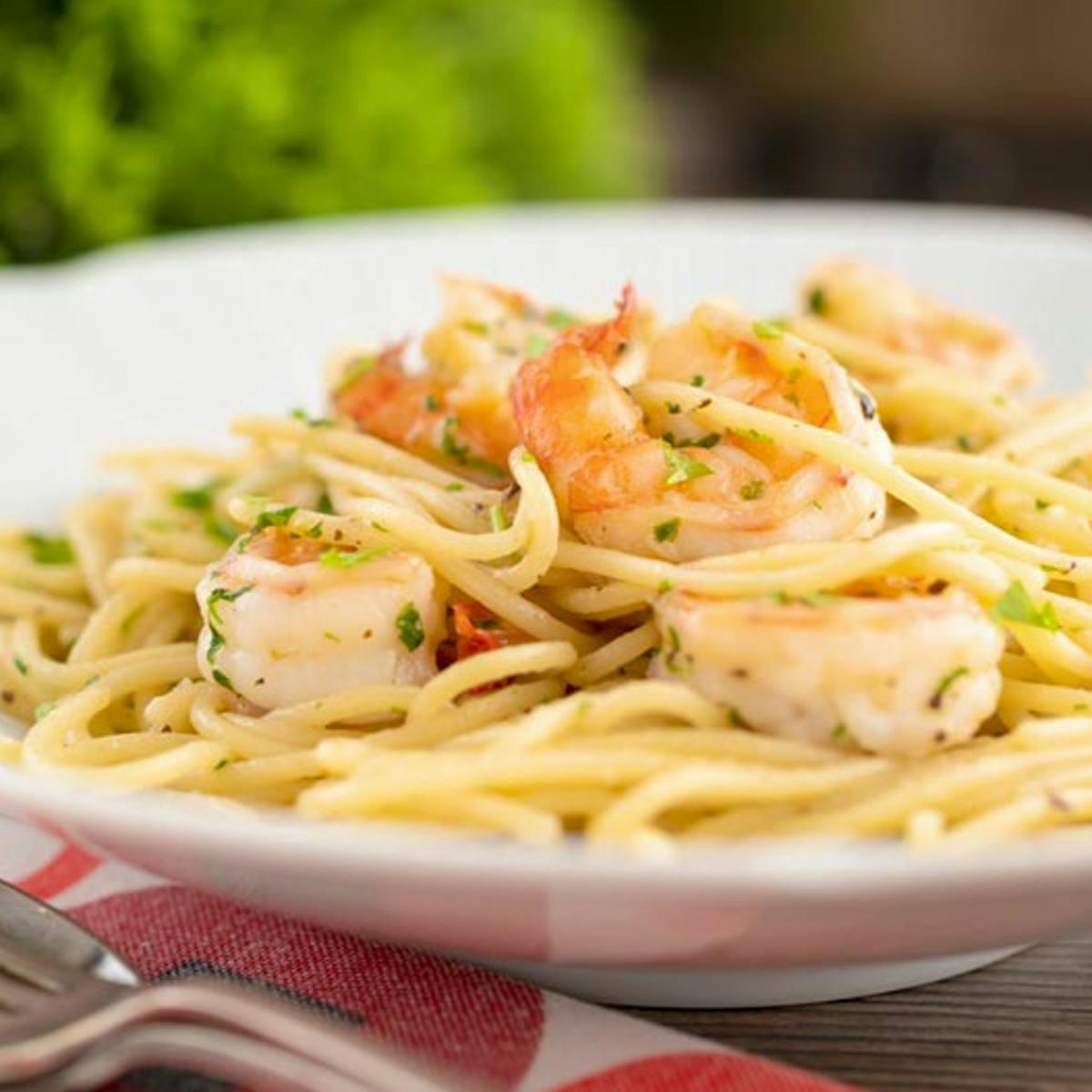 Shrimp pasta on a white plate.