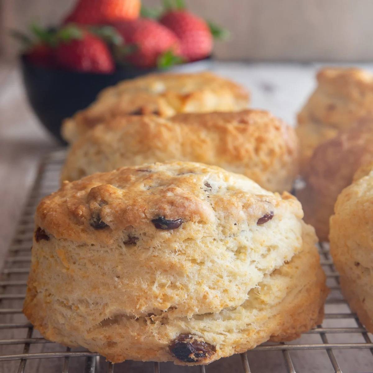 Classic tea biscuits on a wire rack.