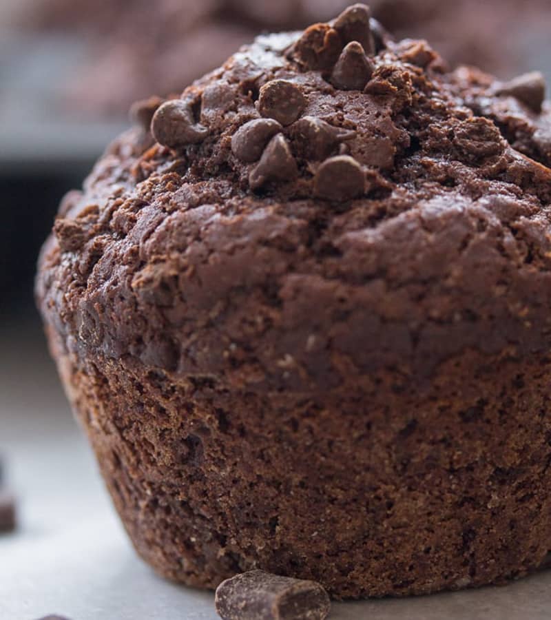 Chocolate chip muffin.