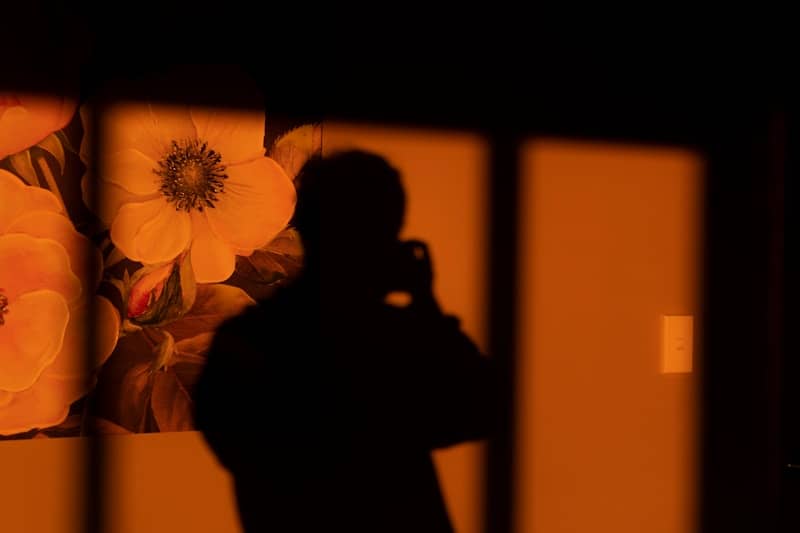 A shadow is taking a photo near flowers.