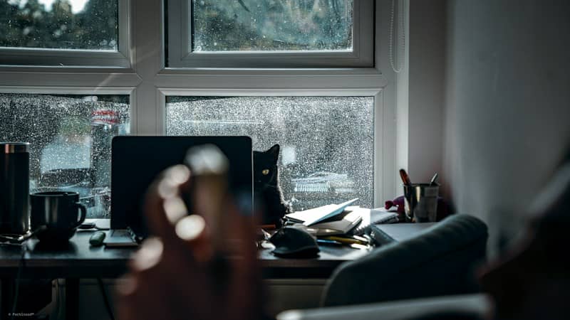 A black cat peering through a rain-streaked window behind a cluttered desk