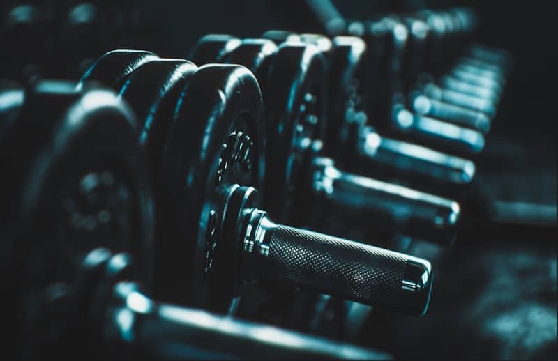 A row of dumbs in a gym