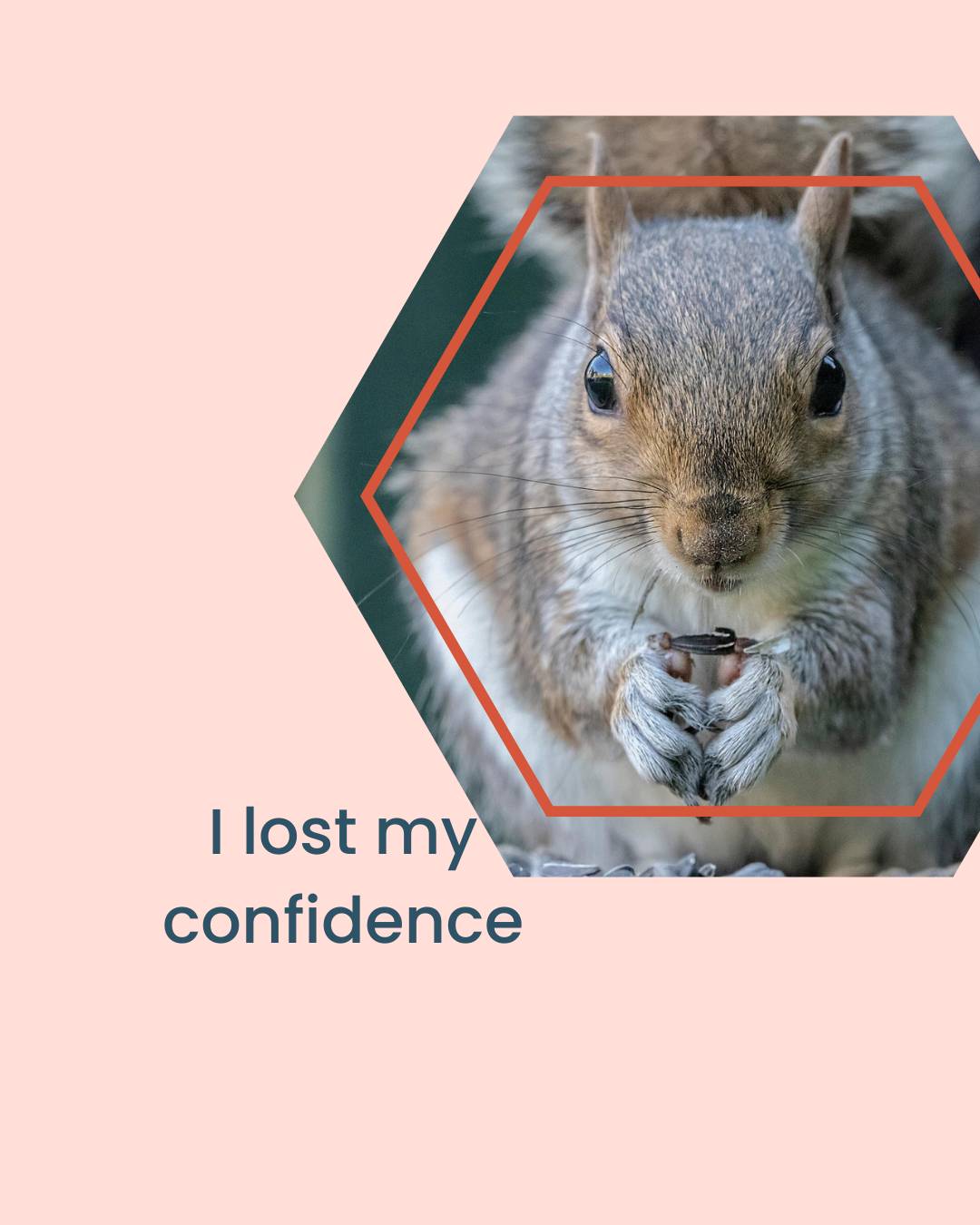 Image of a squirrel holding an acorn in a hexagonal frame on a pink background with the words, "I lost my confidence"