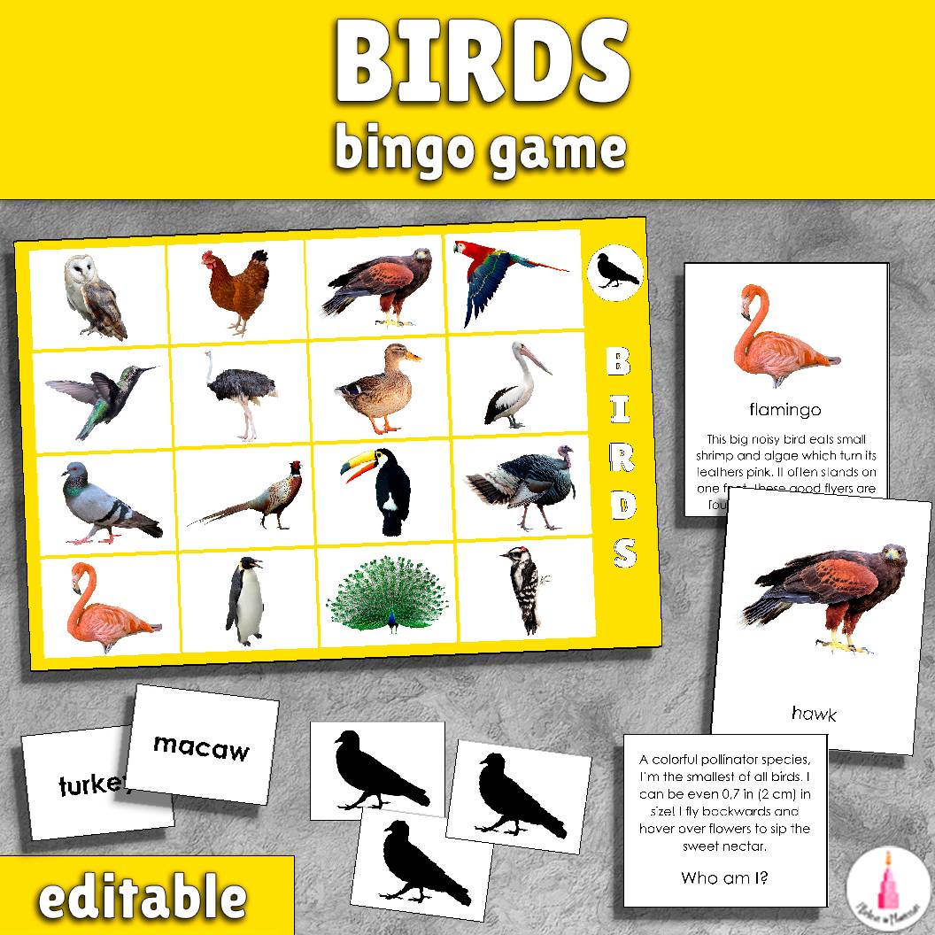 FREE Birds Bingo Game Activity I Believe in Montessori