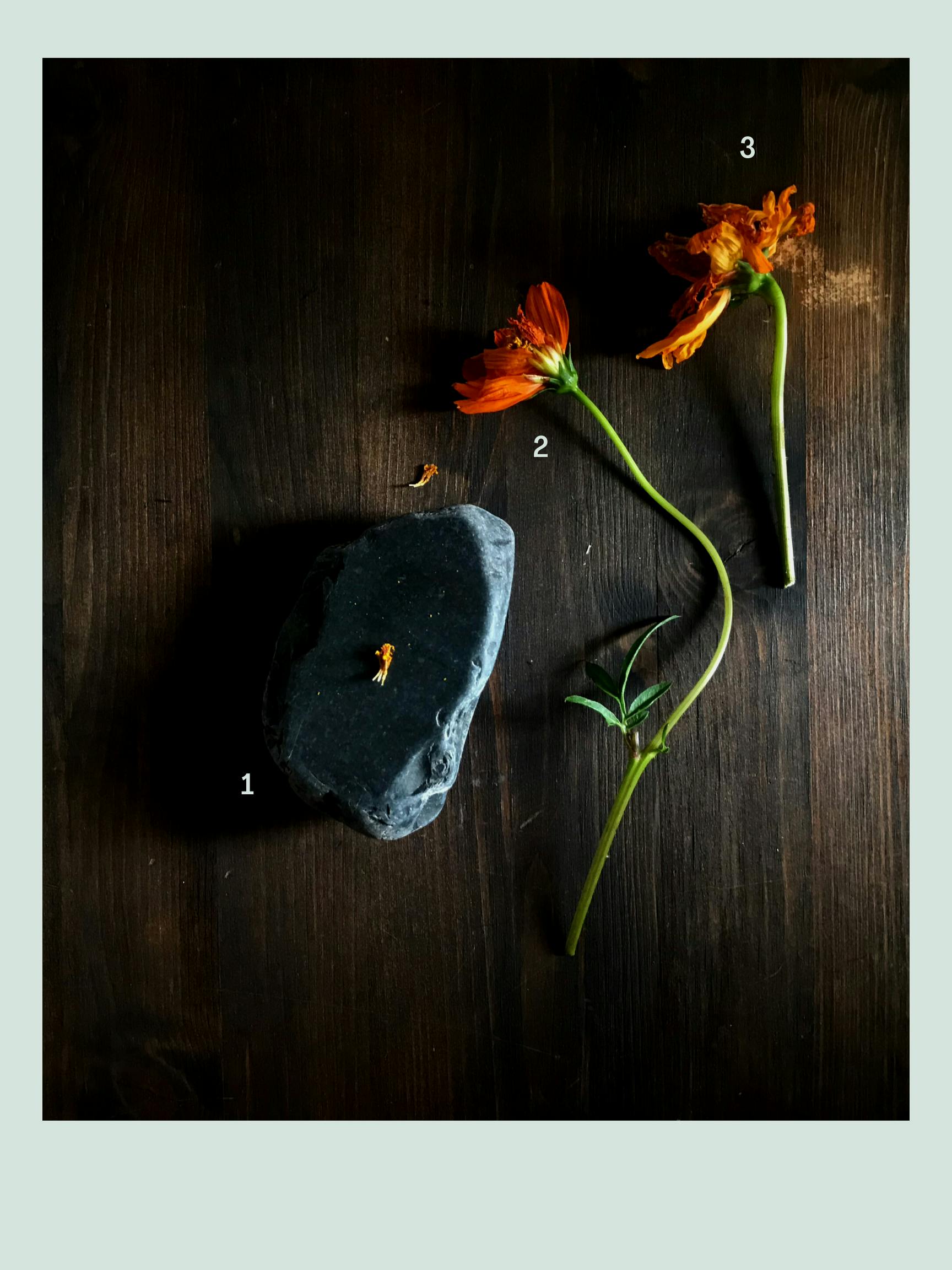a photo of a slate rock, and two orange cosmos sit on a desk.