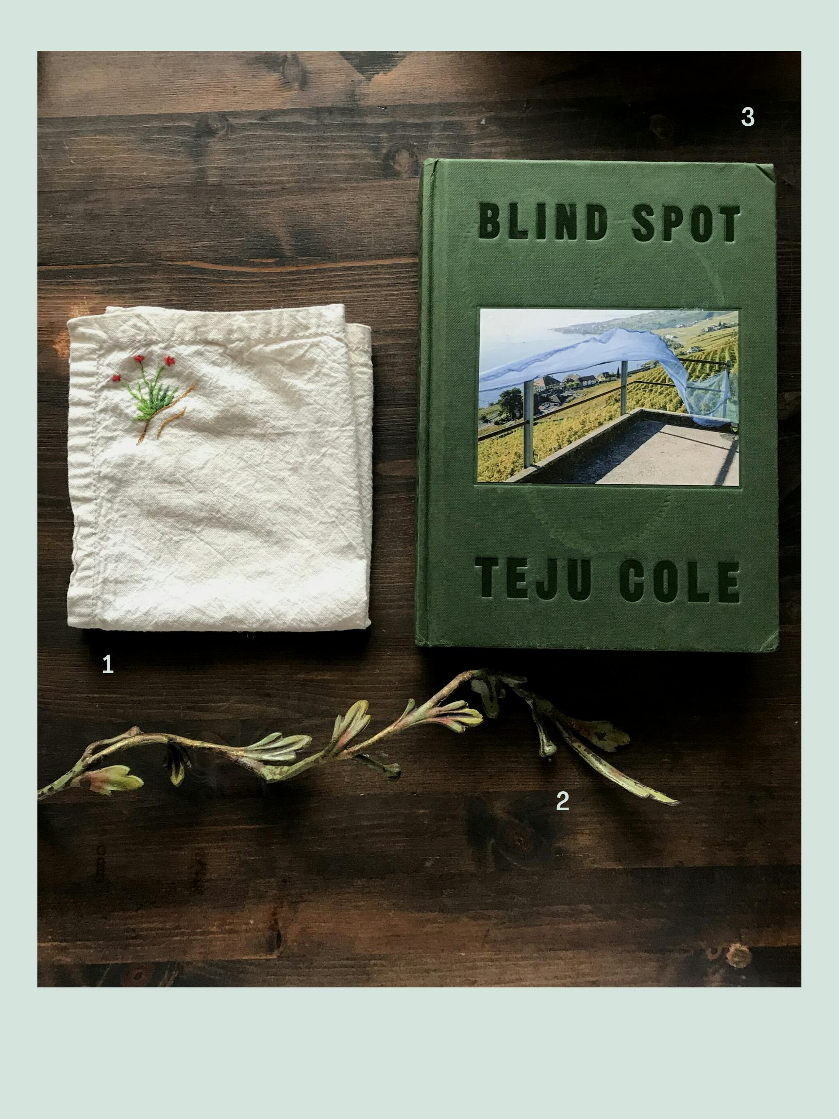 A collection of objects, labeled with small numbers, sits on a desk. From left to right, a cloth with a small embroidered blooming plant in the corner, a curly green piece of metal, with buds and leaves branching off a stem, and a green book titled "Blind Spot" by Teju Cole, with a photograph on the cover.