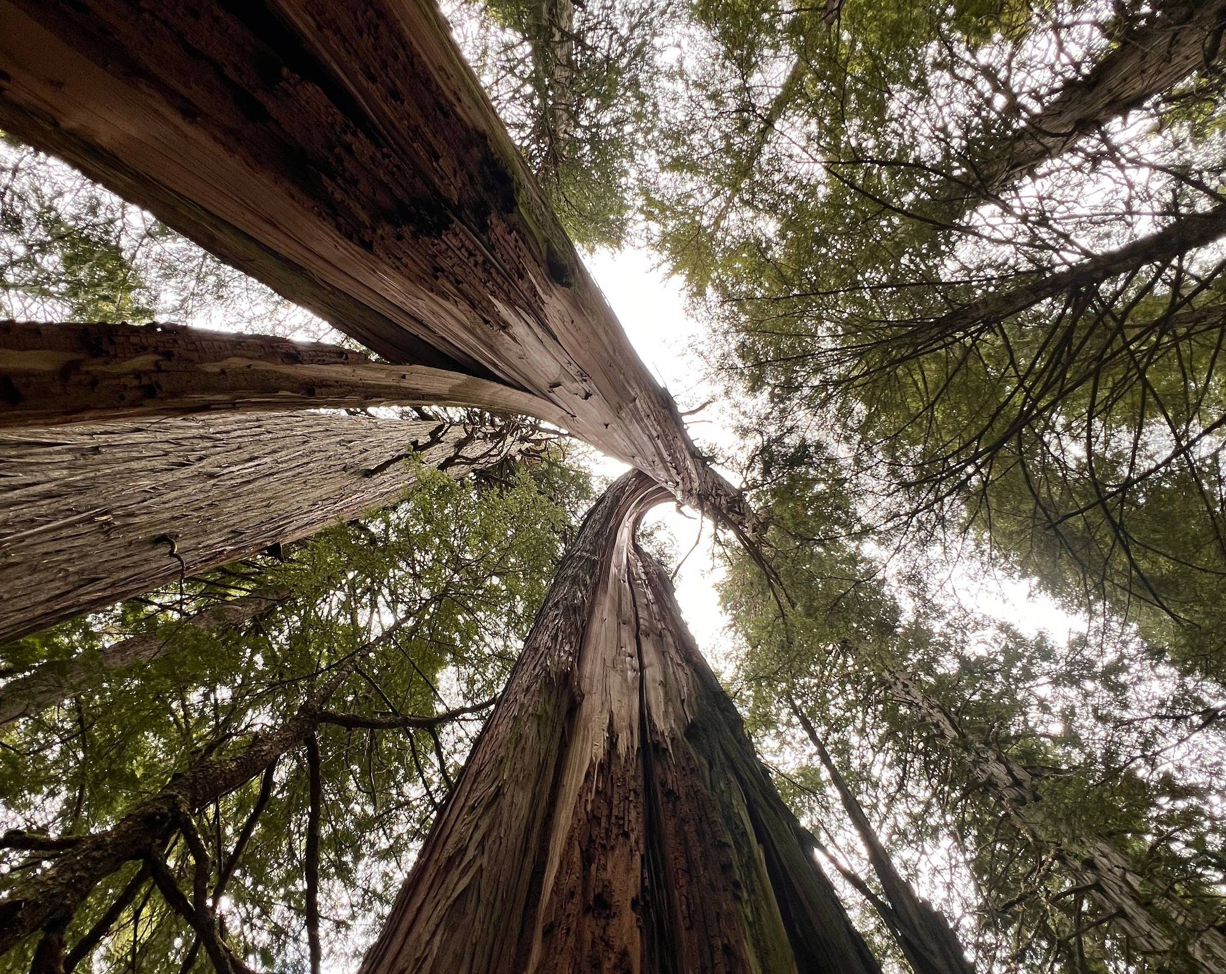 1:1 Unlearning Space - 90min Session