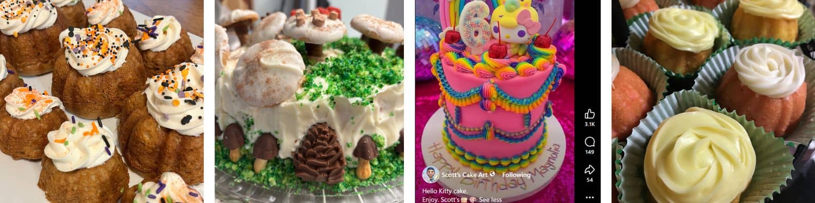 three of my cakes compared to one of Scott's professional cakes