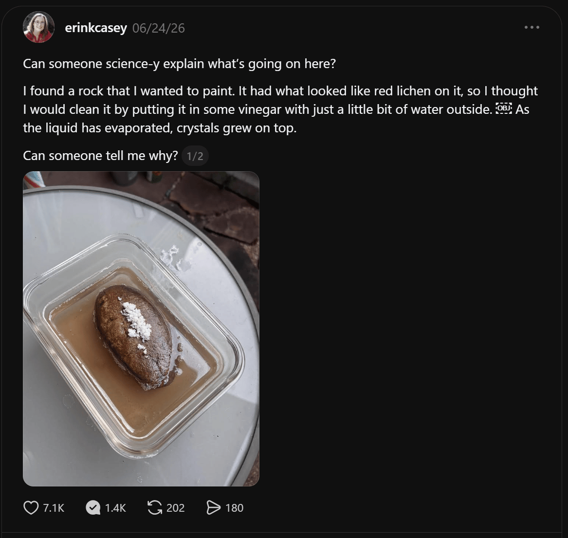 I posted a picture of a rock in vinegar and asked a question, knowing that a few friends would have the answer. 