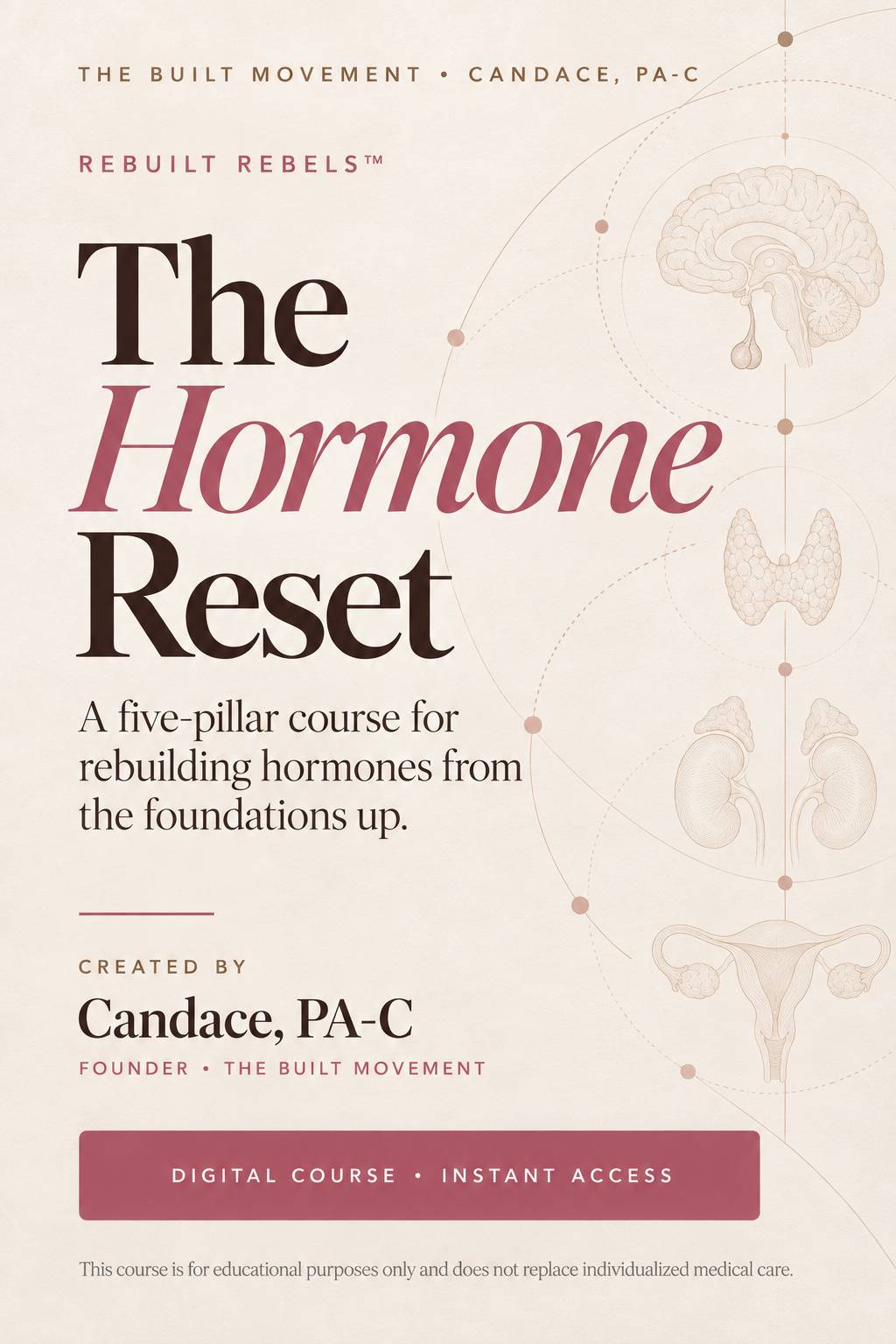 Rebuilt Rebels-The Hormone Reset