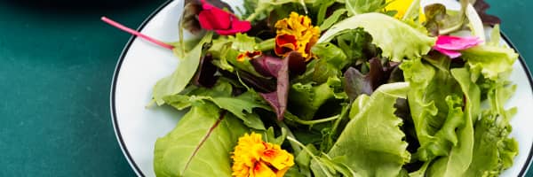edible flowers on a plate