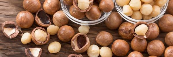 macadamia nuts