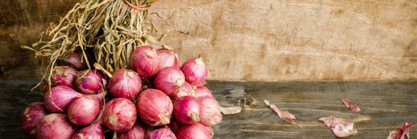 bunch of shallots