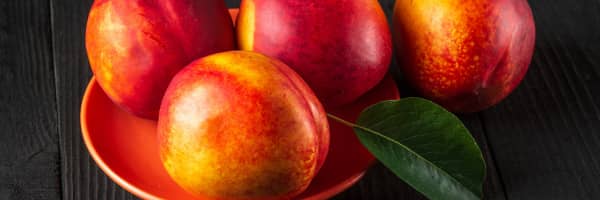 nectarines