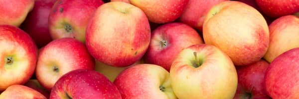 pink lady apples