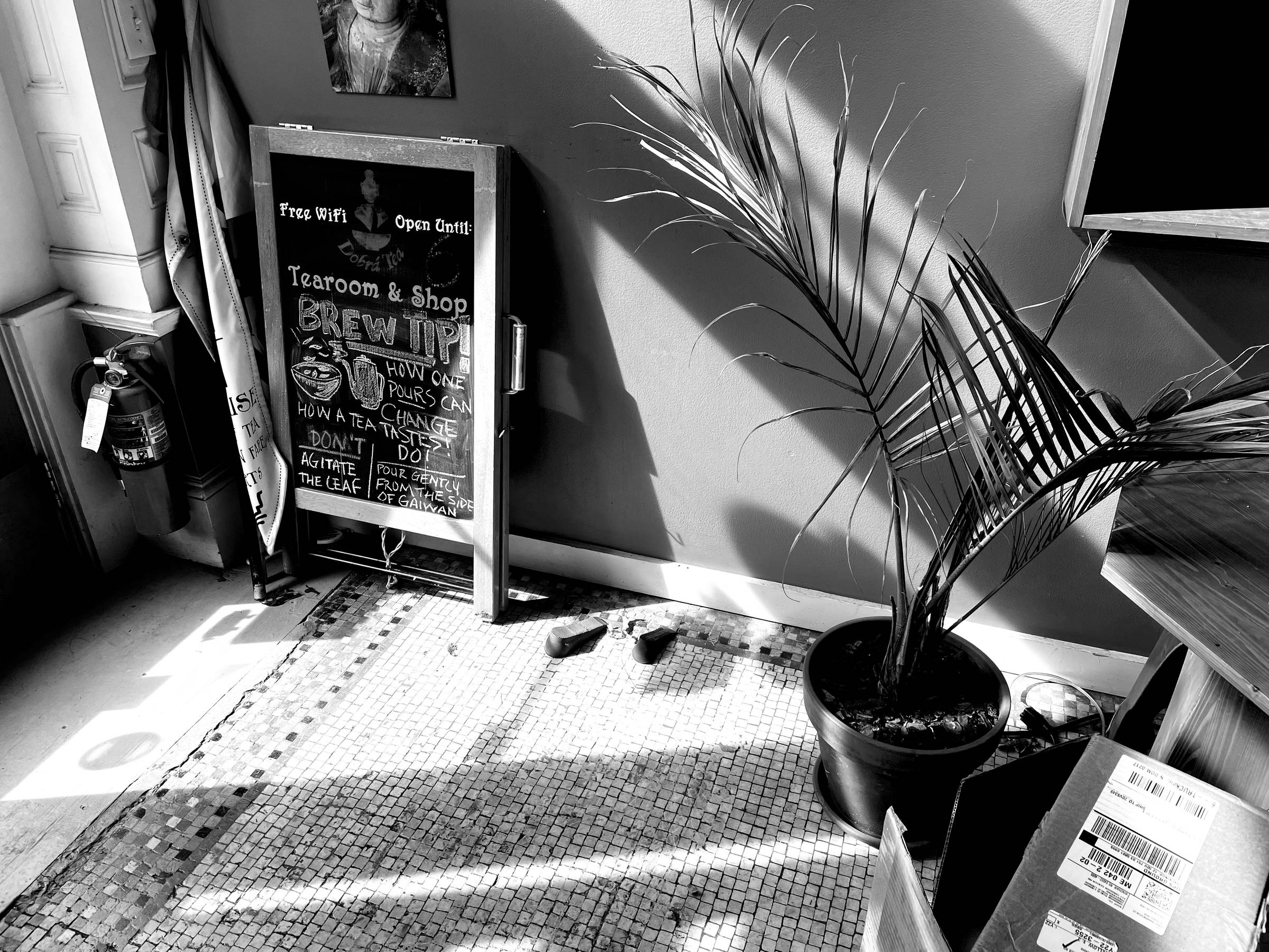 A shadowy picture of the light coming through the tearoom door, hitting a sandwich board with tea brewing tips and a potted plant